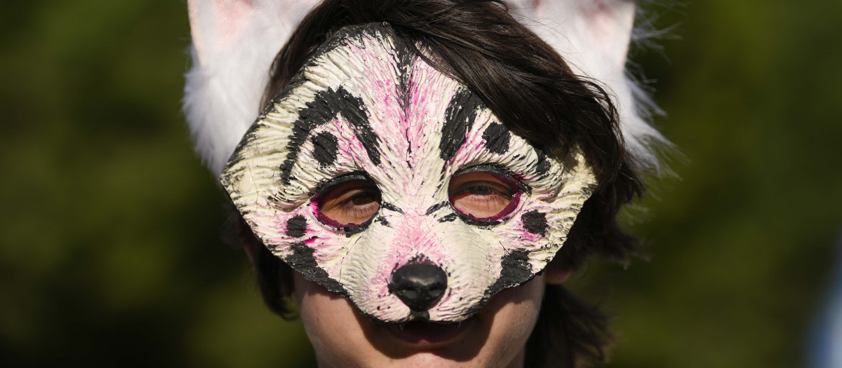 Imagen de un 'therian', personas que aseguran identificarse con animales no humanos y actúan como tal