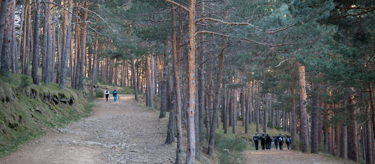 Imagen de archivo de senderistas en una ruta