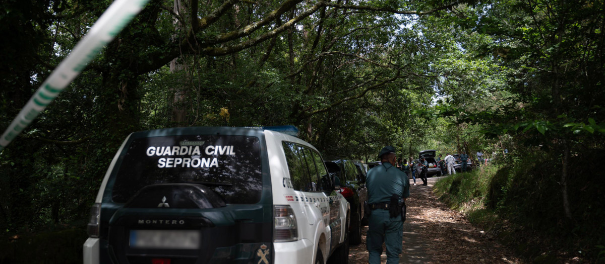 Encuentran muerto a un hombre en un monte de difícil acceso

S.F.F / Europa Press
31 MAYO 2025;SUCESO;INVESTIGACIÓN;CRIMEN;FALLECIDAS;PIXELADA
31/5/2025