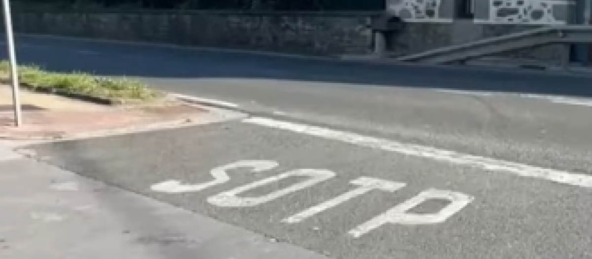 Imagen de la curiosa señal de tráfico