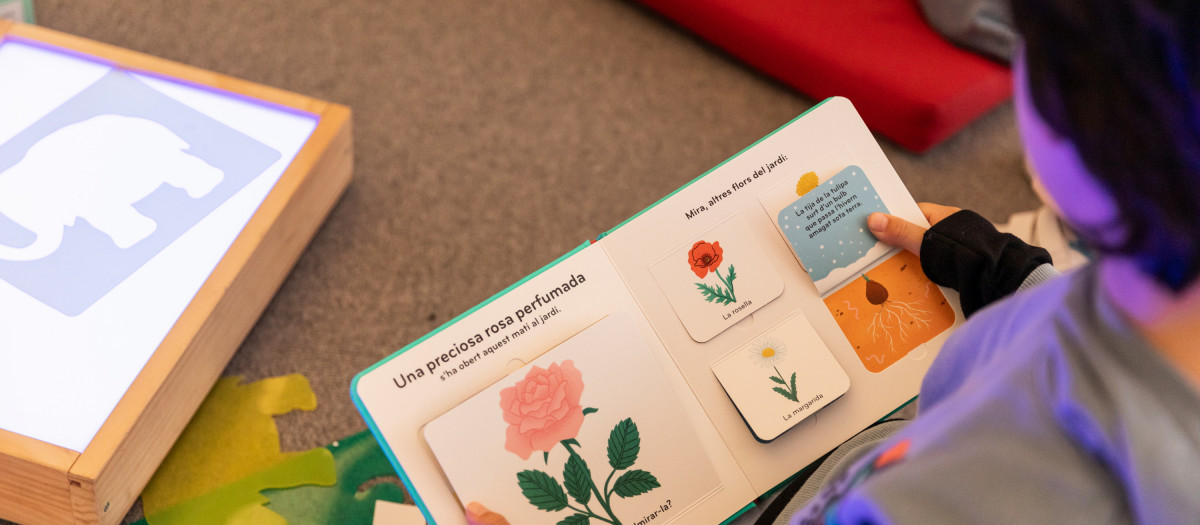 Niño sentado leyendo atentamente un libro