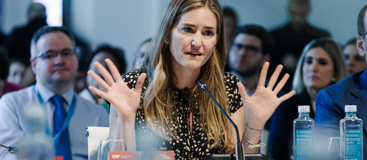 La vicepresidenta tercera y ministra para la Transición Ecológica y el Reto Demográfico, Sara Aagesen