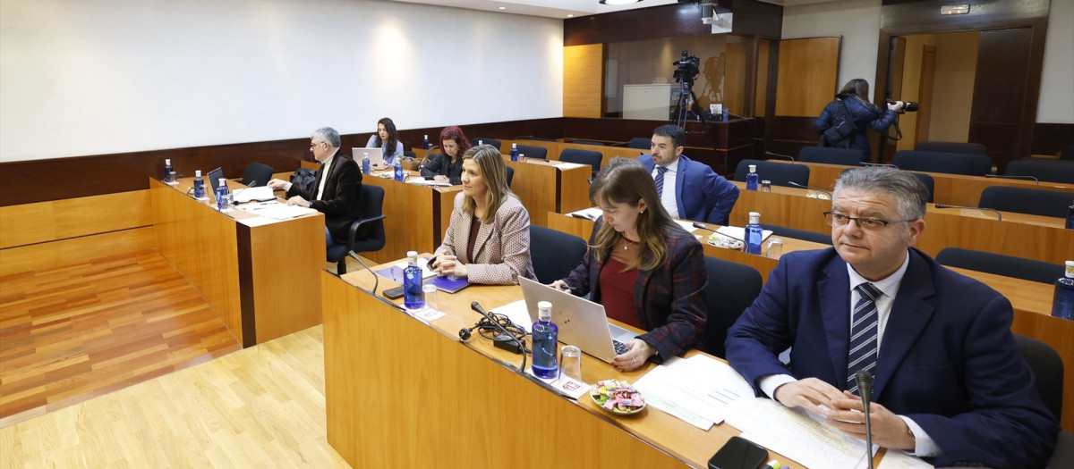 Sesión de la Comisión de Sanidad de las Cortes de Castilla-La Mancha