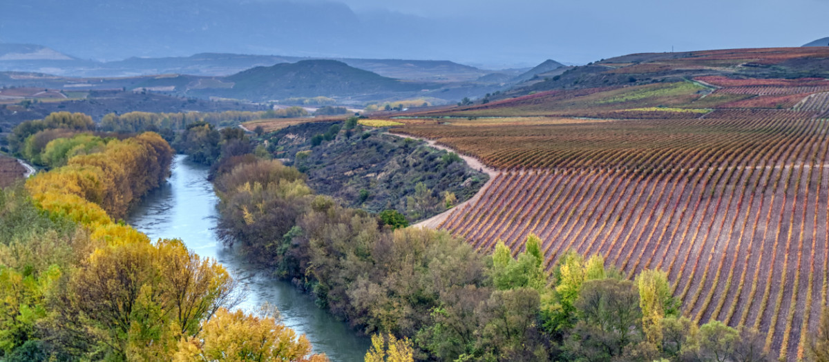 La región de España con menos visitantes internacionales