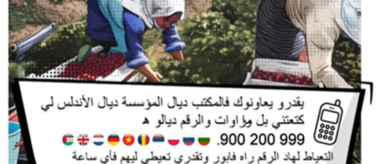 Infografía del Instituto de las Mujeres