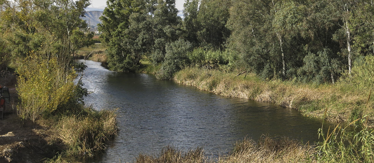 Imagen de archivo del Río Magro, a su paso por L'Alcúdia