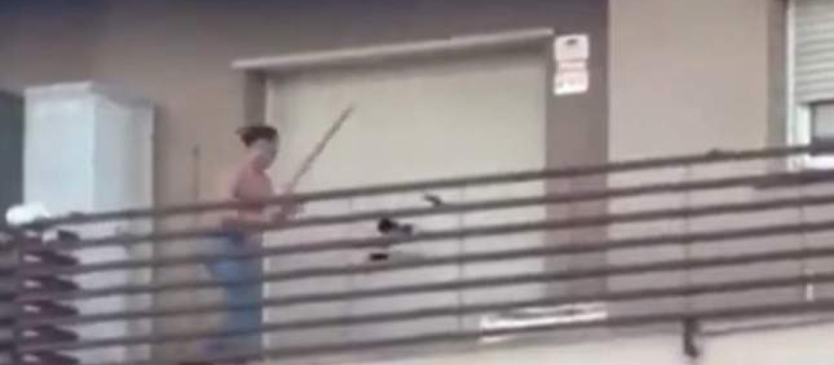 Captura de pantalla del vídeo difundido por Elcaso.cat en el que un ocupa intenta romper con un palo las persianas de un piso en Castelldefels (Barcelona) para ocuparlo