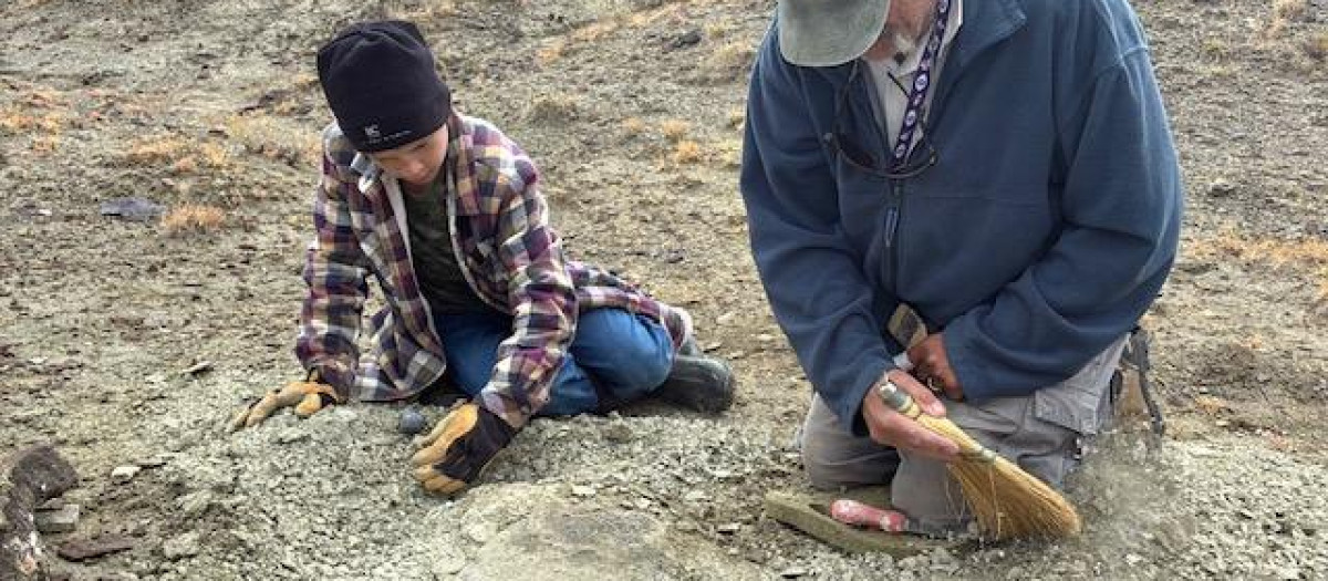 Touren Pope, de once años, colabora en la excavación junto a JP Cavigelli, especialista en colecciones del Museo Geológico Tate del Casper College de Wyoming