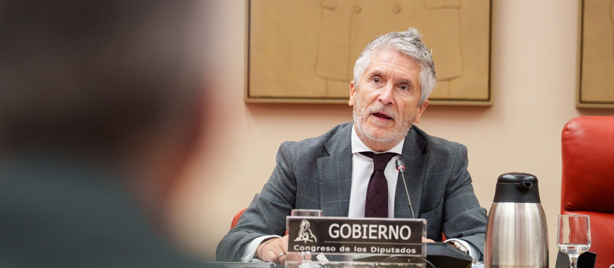 Grande-Marlaska justifica la implantación de la baliza V16