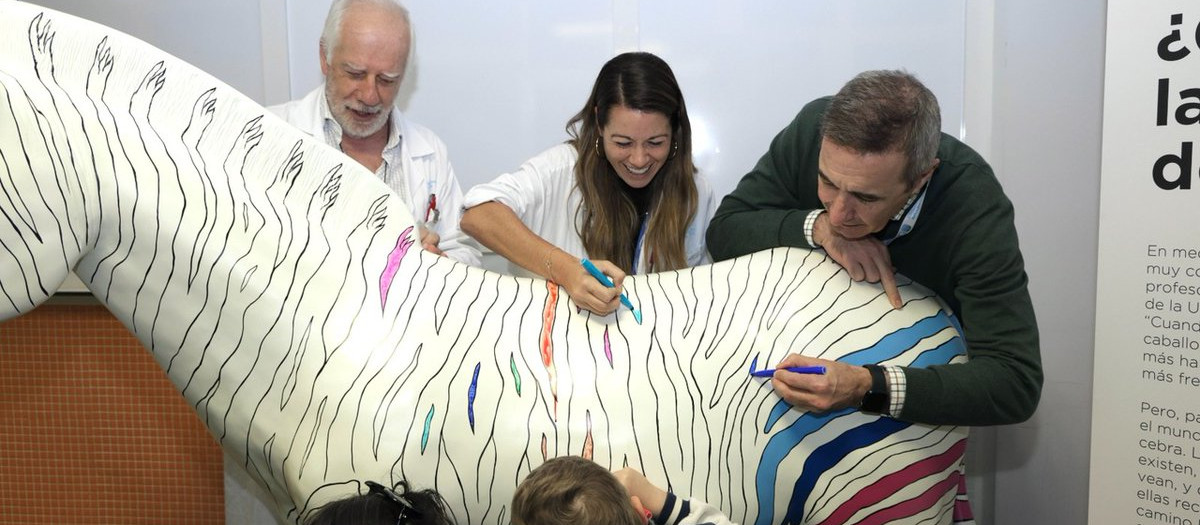 El hospital La Paz instala una cebra de tamaño natural, símbolo de las Enfermedades Raras