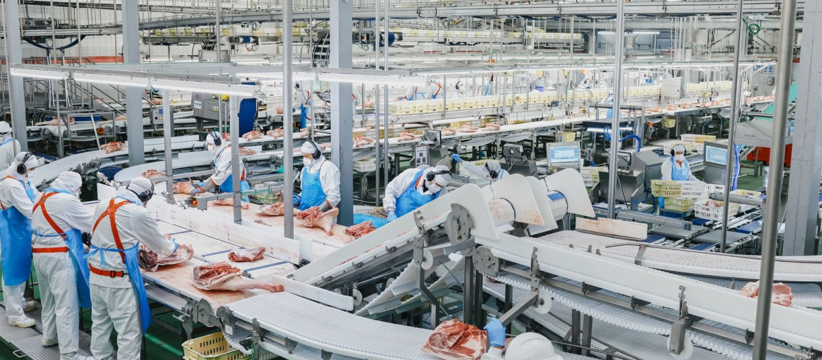 Instalaciones de Incarlopsa