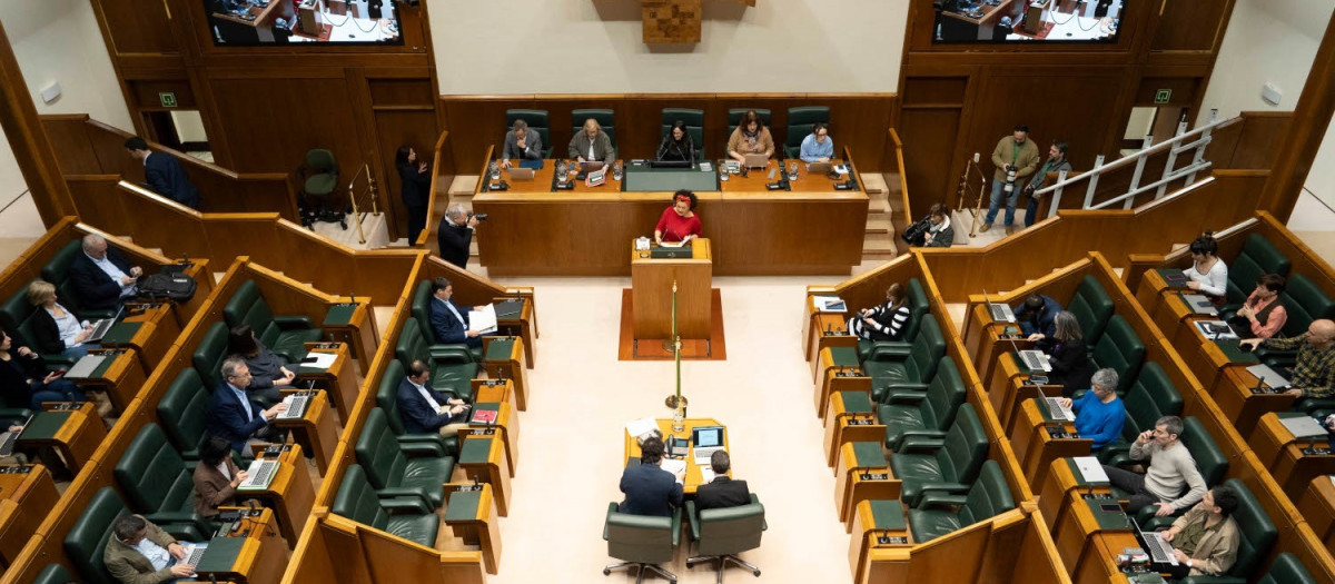 Pleno de la Cámara vasca