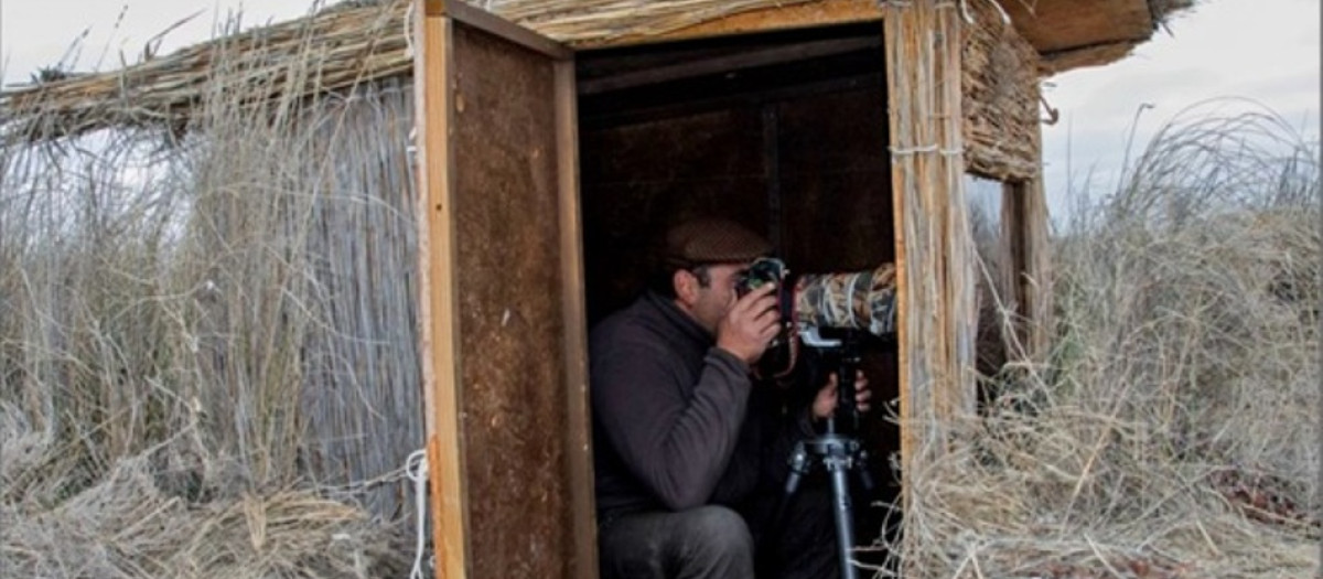 Hides de observación de fauna