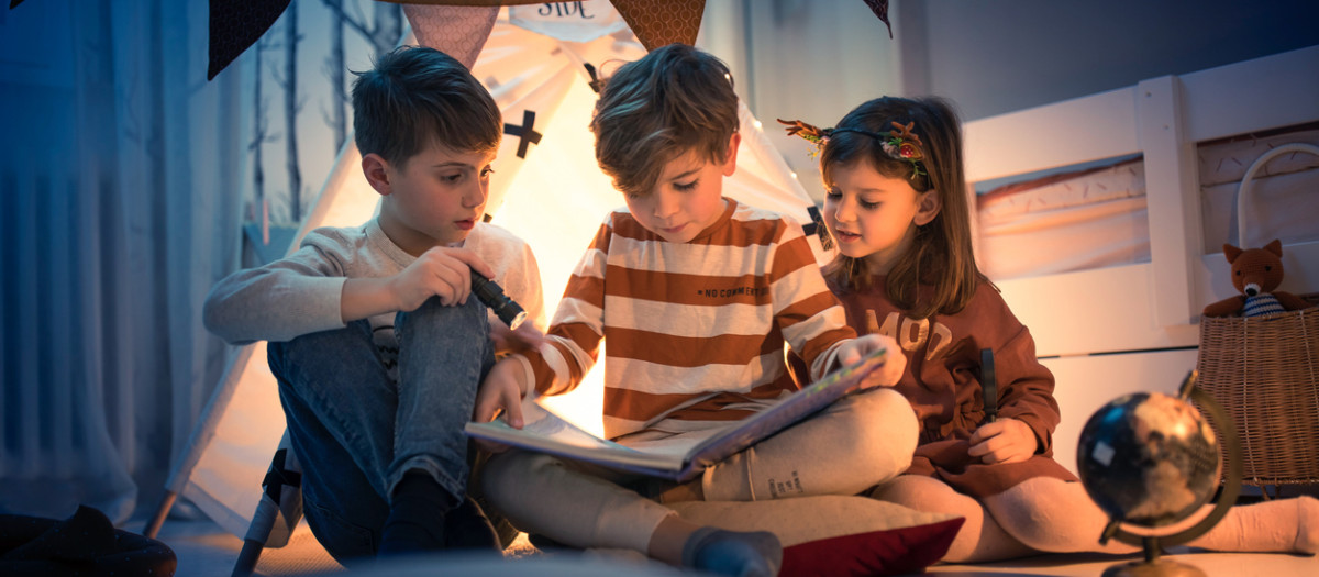 El "rol del experto" es una técnica útil de aprendizaje cooperativo