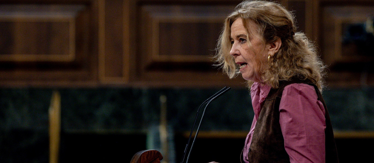 La diputada de Vox, Rocío Aguirre, durante una sesión plenaria en el Congreso de los Diputados