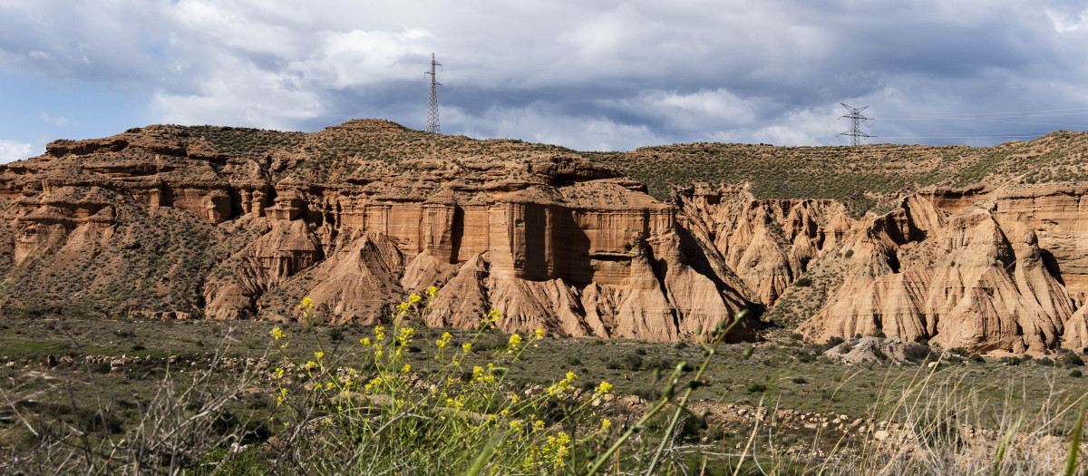 Inusual imagen del desierto de Tabernas en Almería adelantando la floración primaveral gracias a las abundantes lluvias recibidas