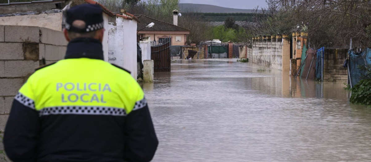 Imagen de una crecida del Guadalquivir en la zona de Alcolea