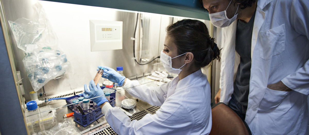 Dos científicos investigando contra el cáncer