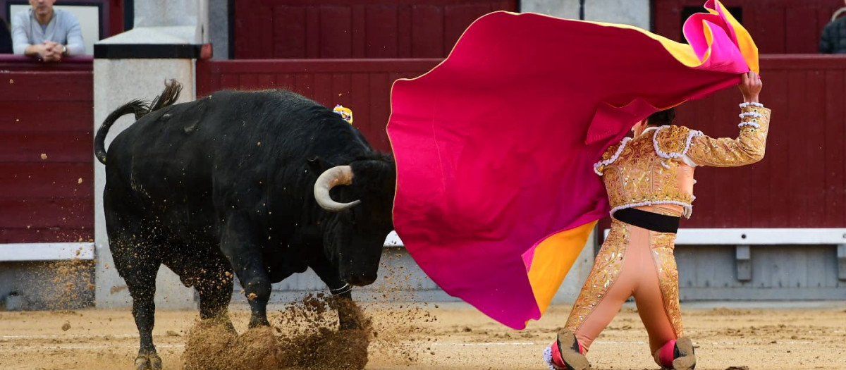 Pepe del Moral recibió a porta gayola al primer toro de la tarde, de nombre 'Curandero' y 668 kilos