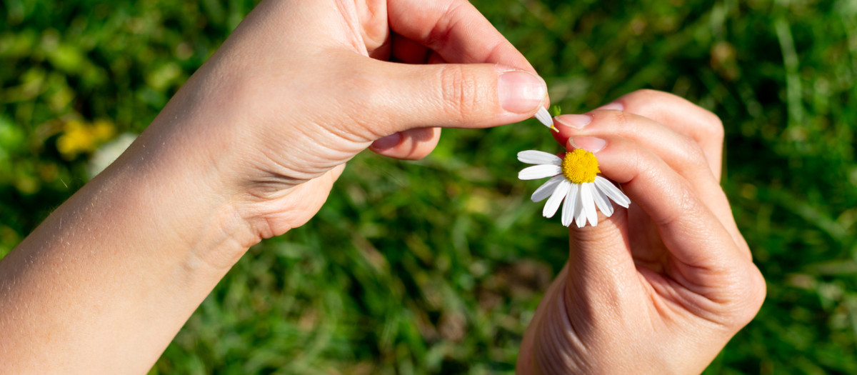 "¿Me quiere, no me quiere, me quiere, no me quiere...?"