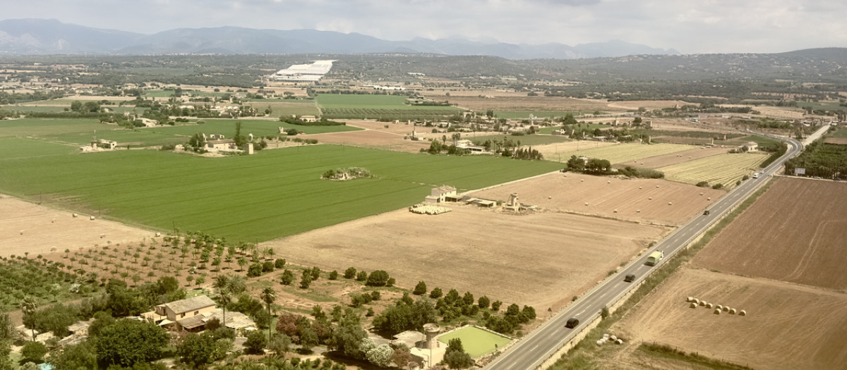 La casa que protagoniza el recurso está en Llubí, municipio del corazón de Mallorca