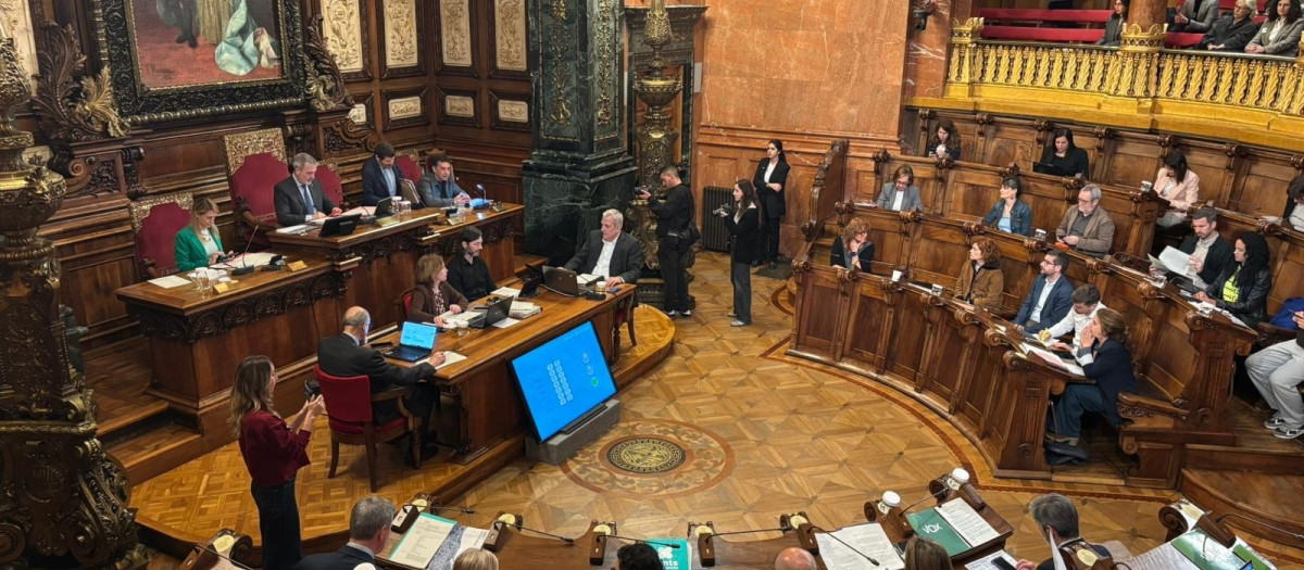 Instante del pleno de Barcelona este viernes.