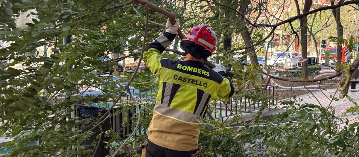 Imagen de un bombero de la ciudad de Castellón de la Plana durante un servicio como consecuencia del viento