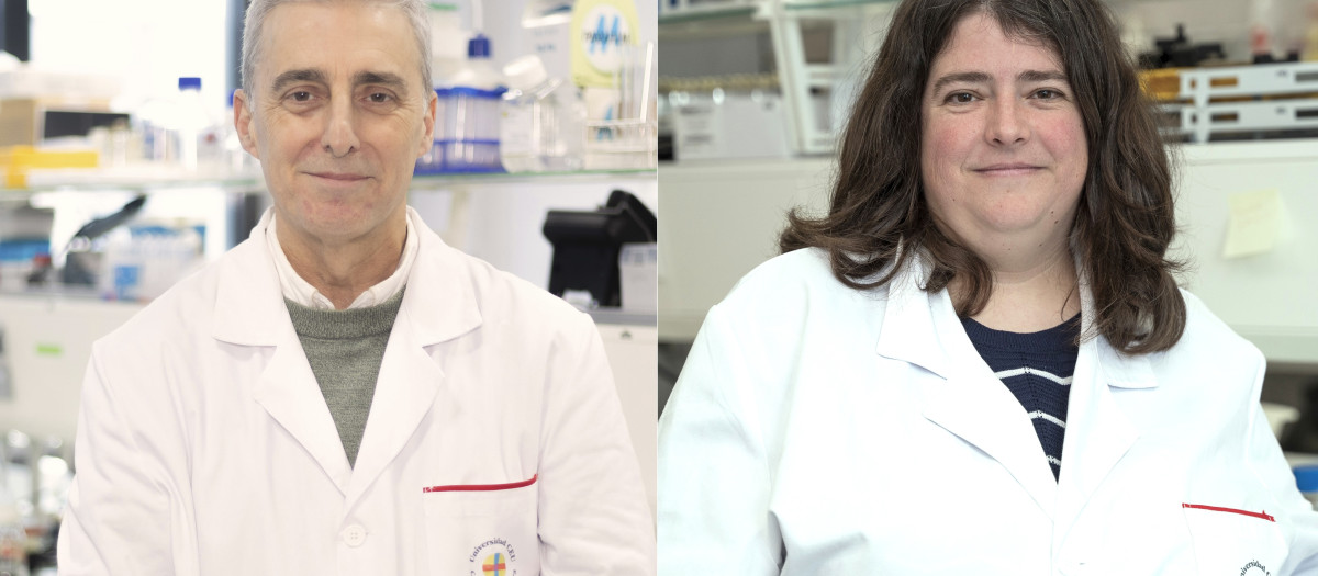 Imagen de los investigadores de la Universidad CEU UCH