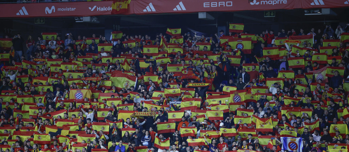 Aficionados españoles durante el partido ante Egipto celebrado en el RCDE Stadium