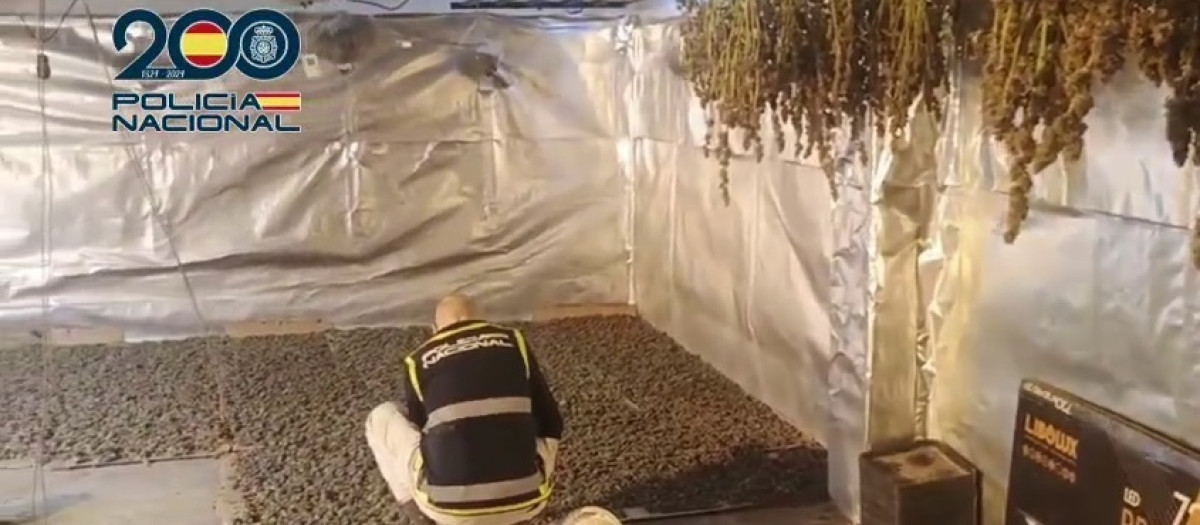 Imagen de un agente de la Policía Nacional