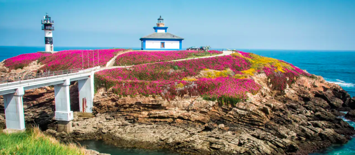 La isla gallega que se viste de púrpura cada primavera