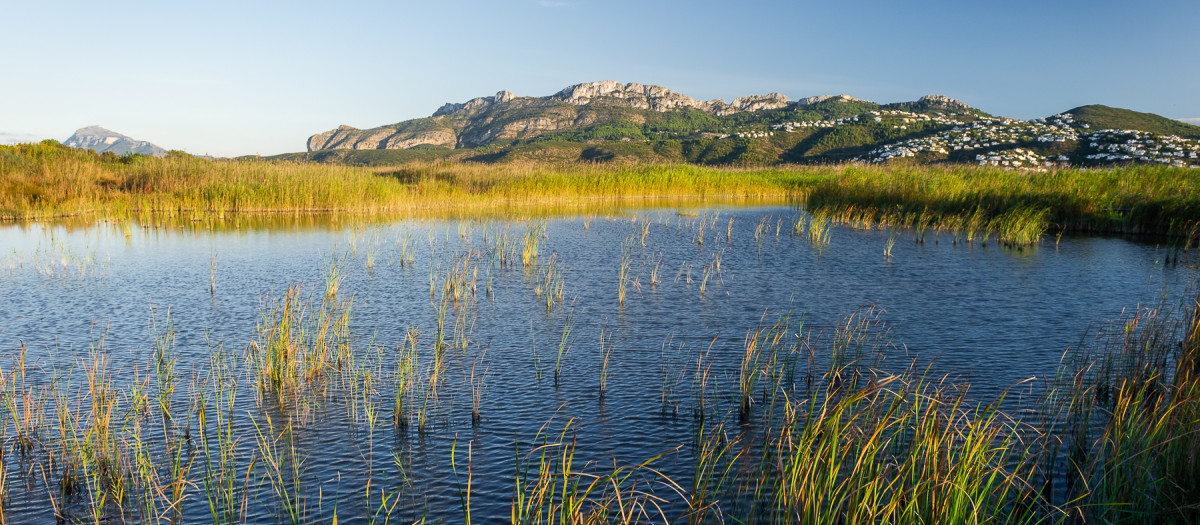 Parque Natural de la Marjal Pego-Oliva