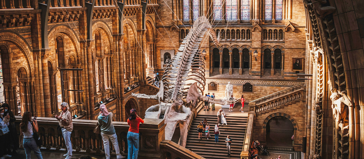 Museo de Historia Natural de Londres