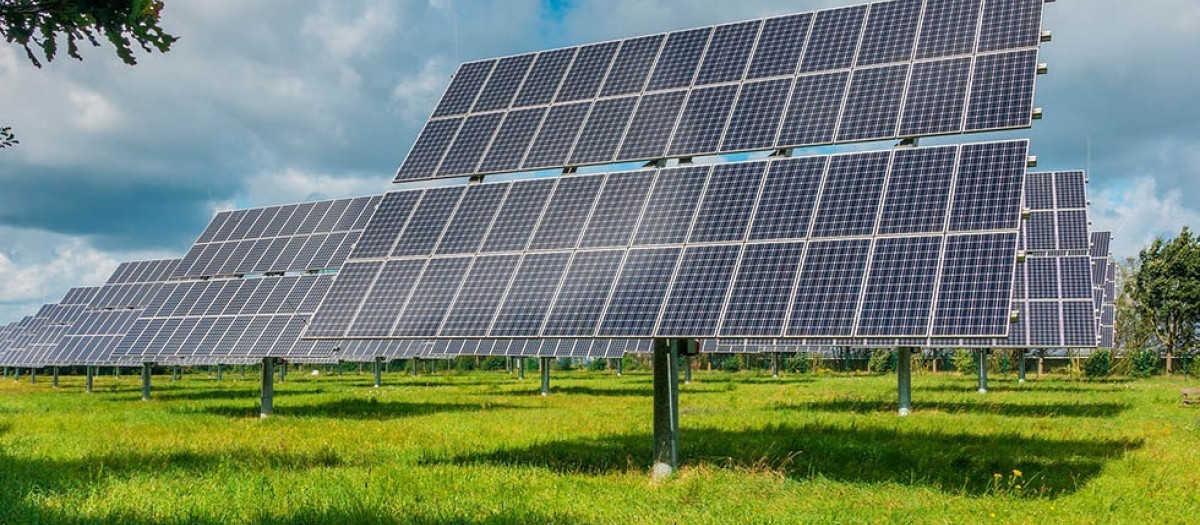 Instalación fotovoltaica de Forestalia

REMITIDA / HANDOUT por FORESTALIA
Fotografía remitida a medios de comunicación exclusivamente para ilustrar la noticia a la que hace referencia la imagen, y citando la procedencia de la imagen en la firma
01/1/1970