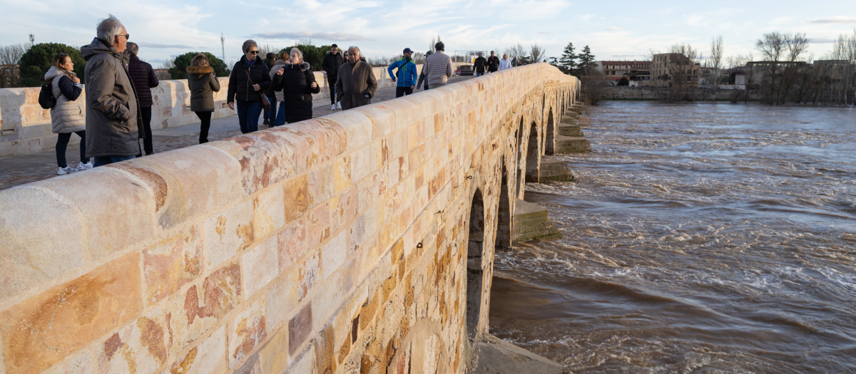 Numerosas personas se acercan a contemplar la crecida del Río Duero a su paso por Zamora