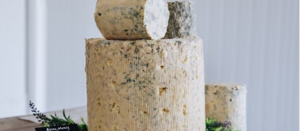 Uno de los quesos premiados