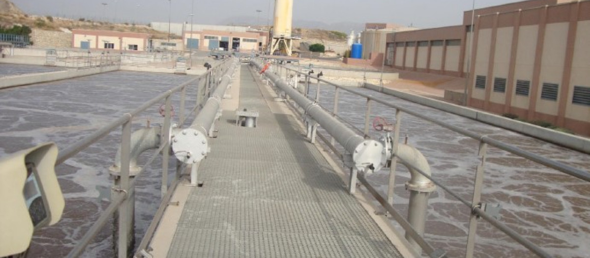 Edar Rincón de León