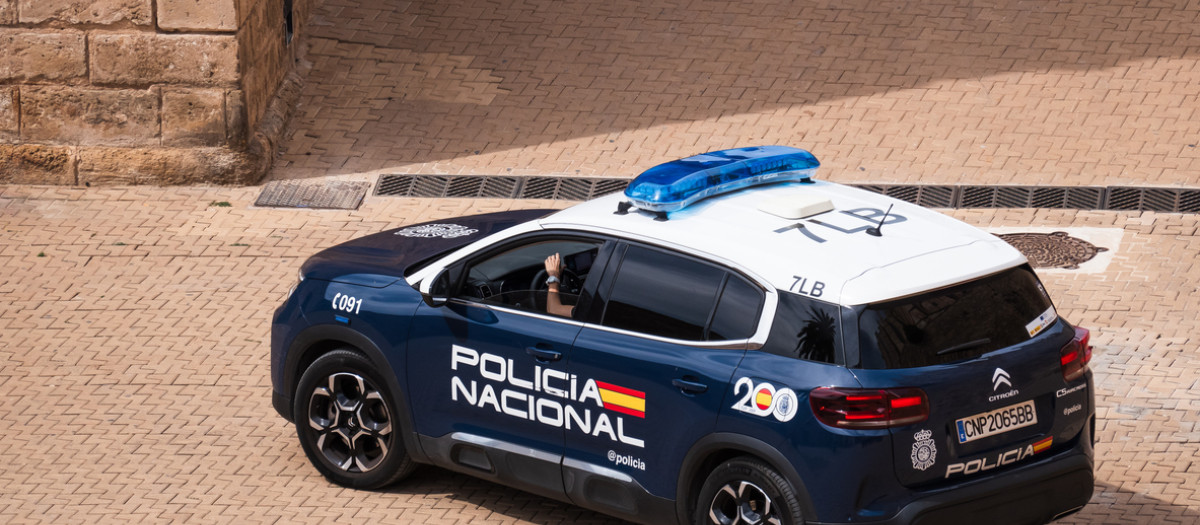 La Policía Nacional lo ha detenido en Palma