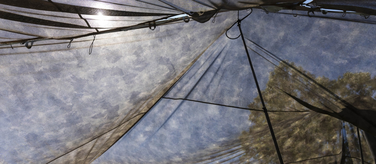 Red especial de camuflaje multiespectral ocultan un puesto de mando del Ejército de Tierra en Viator (Almería)