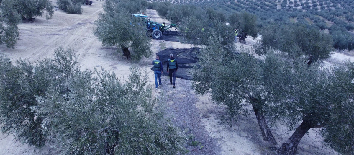 Equipo Roca de la Guardia Civil de Córdoba