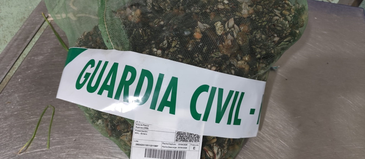 Interceptado un furtivo con doce kilos de percebes extraídos de forma ilegal en Vivero (Lugo)

REMITIDA / HANDOUT por GUARDIA CIVIL LUGO
Fotografía remitida a medios de comunicación exclusivamente para ilustrar la noticia a la que hace referencia la imagen, y citando la procedencia de la imagen en la firma
25/4/2026