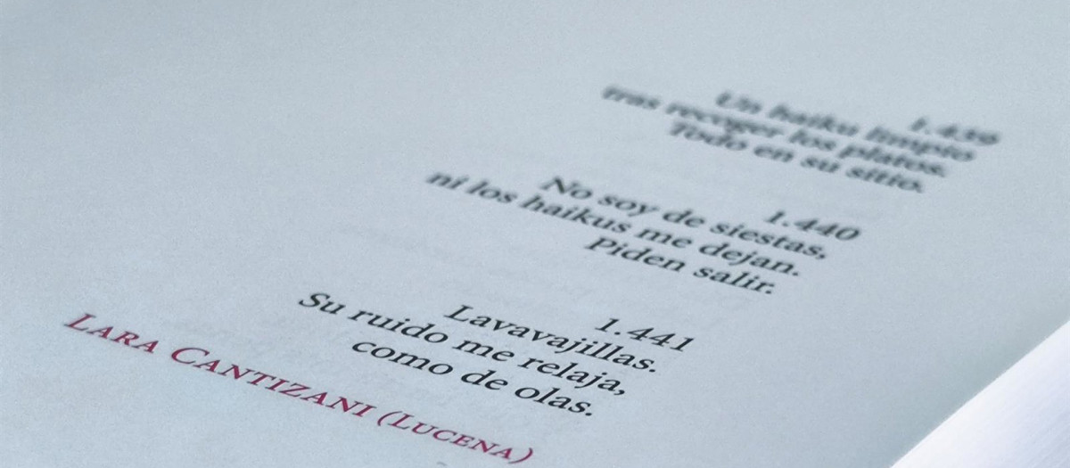Una imagen con poemas de Lara Cantizani