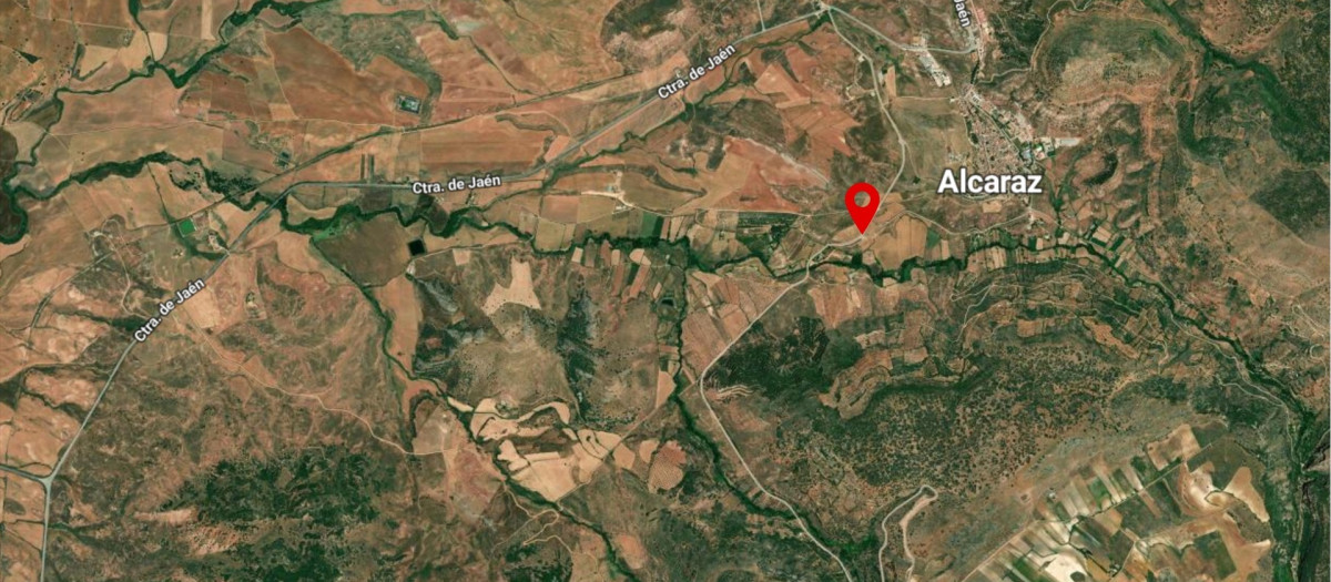 El individuo ha sido hallado en el kilómetro 20 de la CM-3216, a su paso por el término municipal de Alcaraz.

EUROPA PRESS
06/5/2026