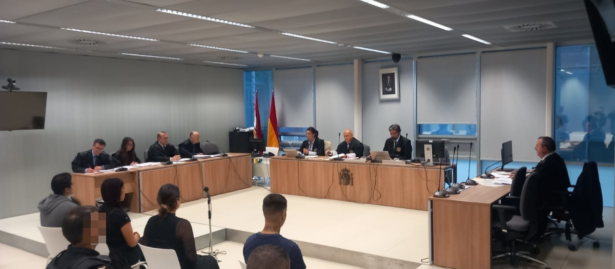 Juicio contra cuatro personas acusadas de retener y golpear a un hombre en un domicilio 'okupado' en Logroño

EUROPA PRESS
06/5/2026