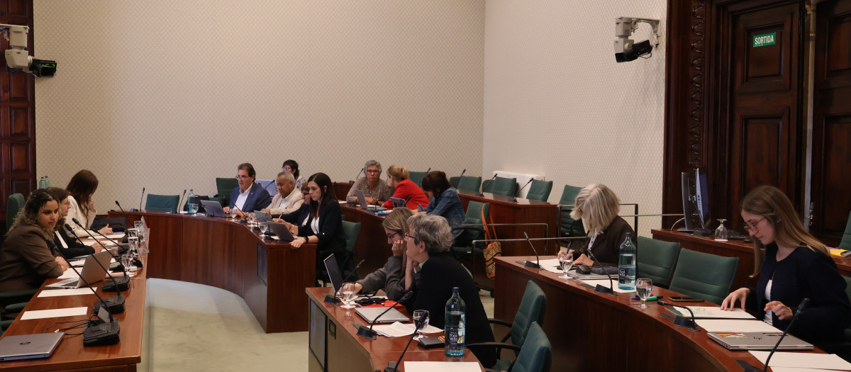 Un momento de las comparecencias en la comisión de Igualdad y Feminismos