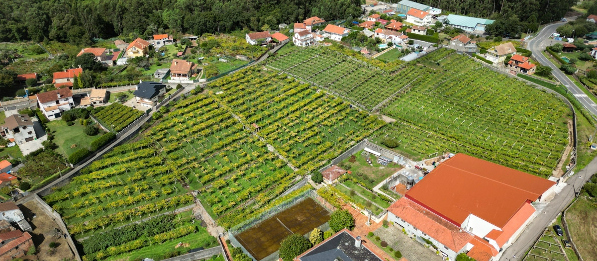 Bodega Vía Atlántica