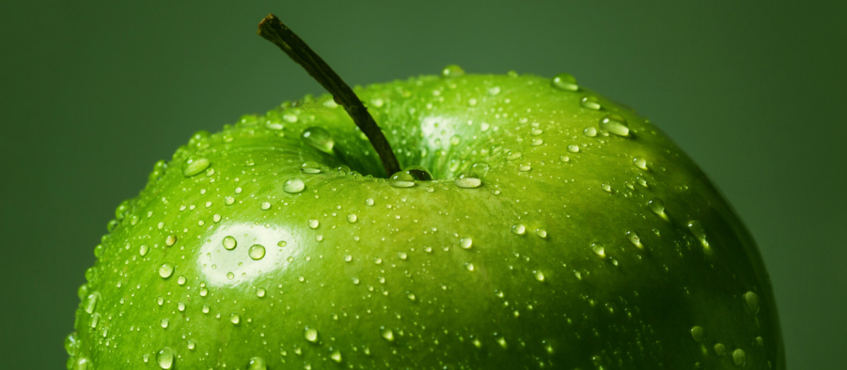 Big green apple with water drops close-up on dark green background