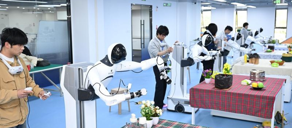 Robots humanoides