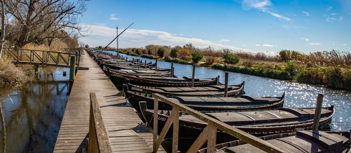 Imagen de archivo de la Albufera, uno de los puntos más turísticos de la provincia