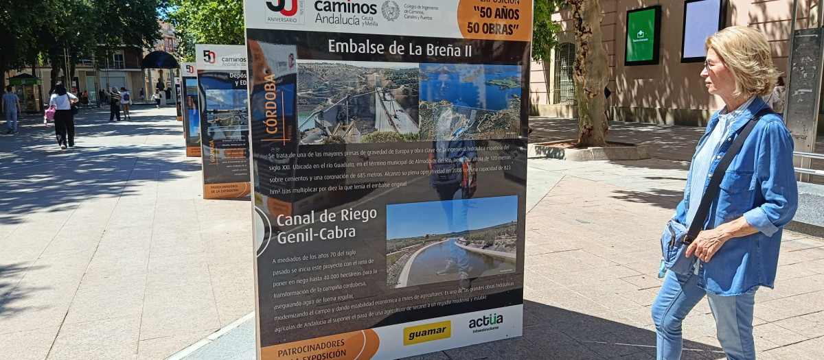 Una espectadora de la exposición '50 años, 50 obras' en Córdoba